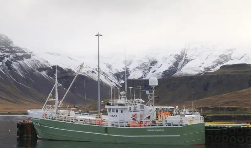 GRUNDFIRDINGUR Fishing Vessel IMO 7208780 photo 2