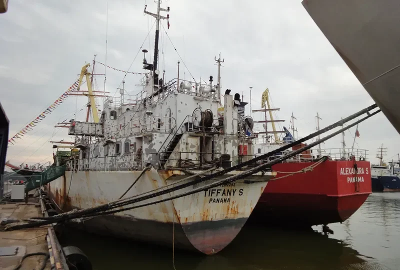 TIFFANY S General Cargo IMO 7209253 photo 5