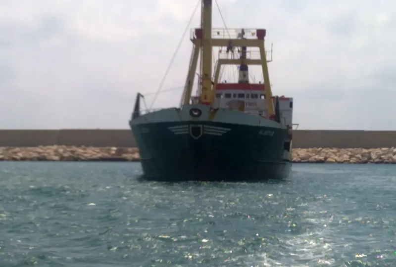 AL BATOUL General Cargo IMO 7209411 photo 2