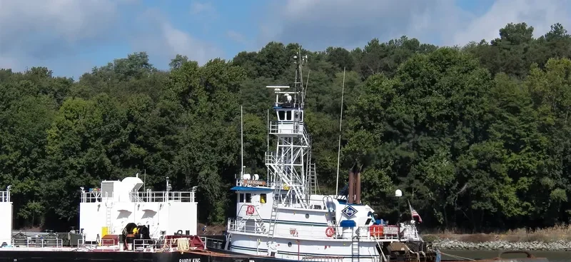 SEA ROBIN Tug Boat IMO 7210496 photo 3