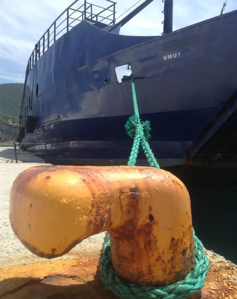 ATLAS Ro-Ro IMO 7211464