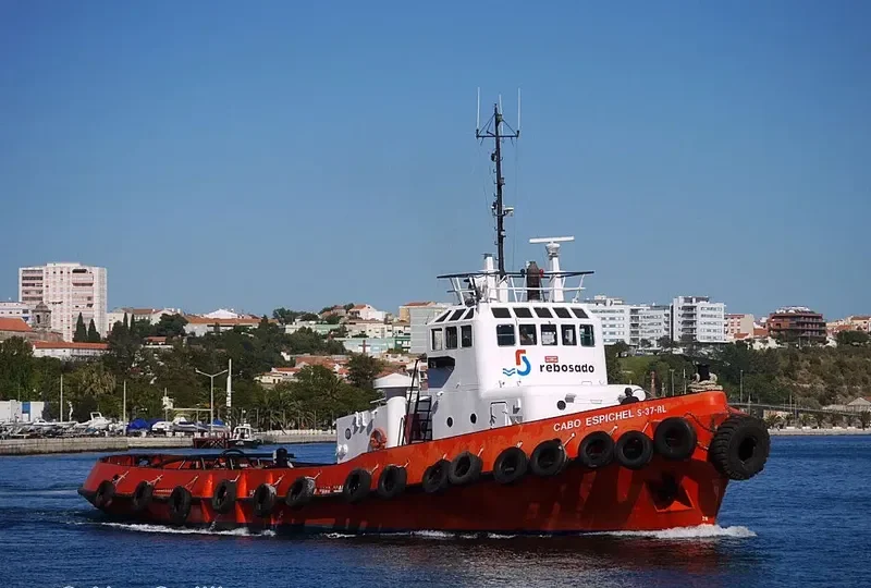 CABO ESPICHEL Tug Boat IMO 7212195 photo 2
