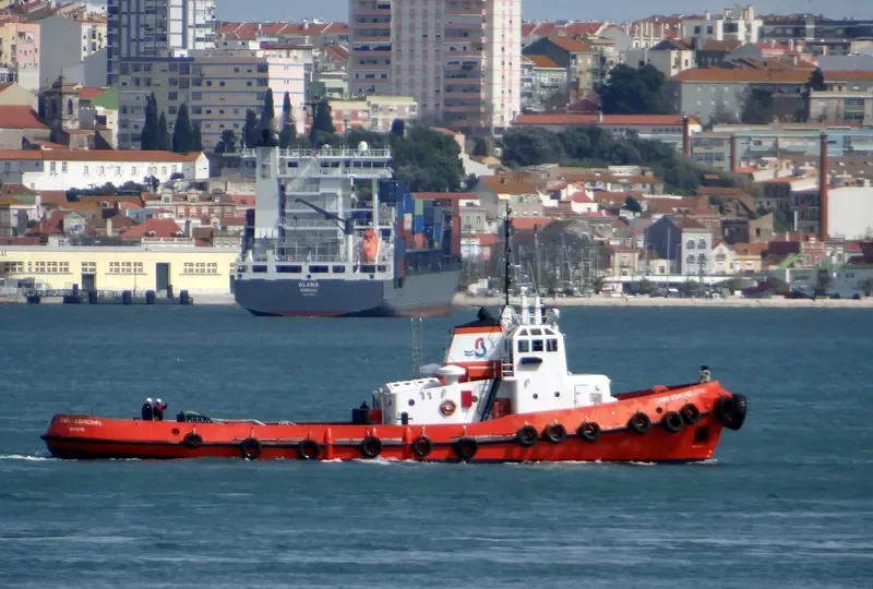 CABO ESPICHEL Tug Boat IMO 7212195 photo 4