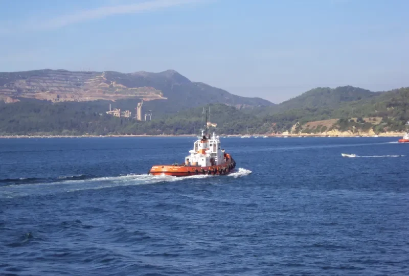 CABO ESPICHEL Tug Boat IMO 7212195 photo 9