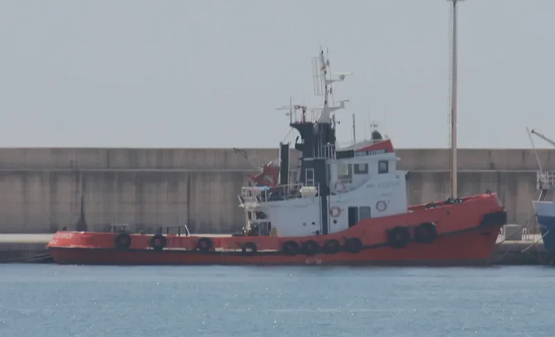 TITAN TERCERO Tug Boat IMO 7212339 photo 4