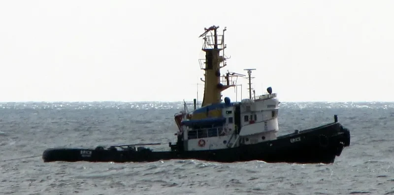 ERICE Tug Boat IMO 7213981 photo 2