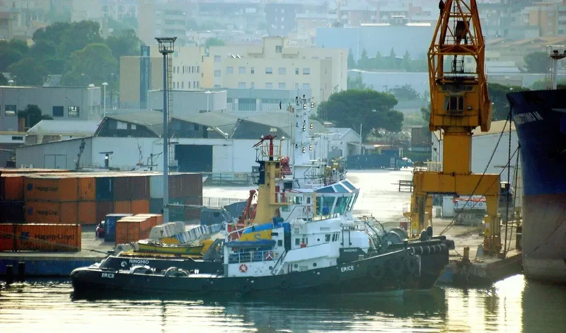 ERICE Tug Boat IMO 7213981 photo 3