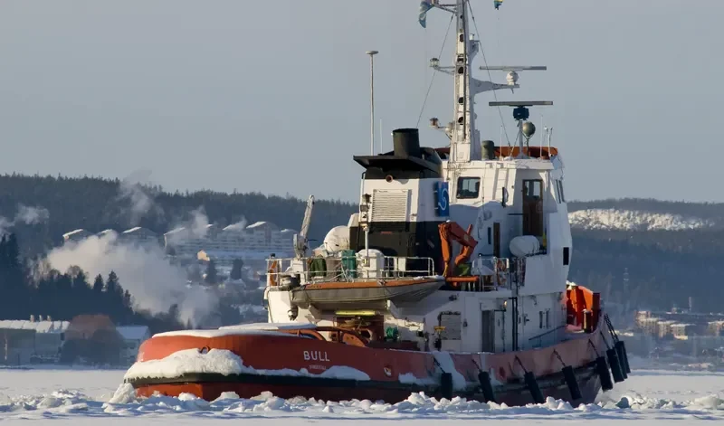 BULL Tug Boat IMO 7214480 photo 9