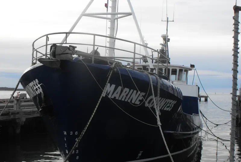 MARINE COUNTESS General Cargo IMO 7215264