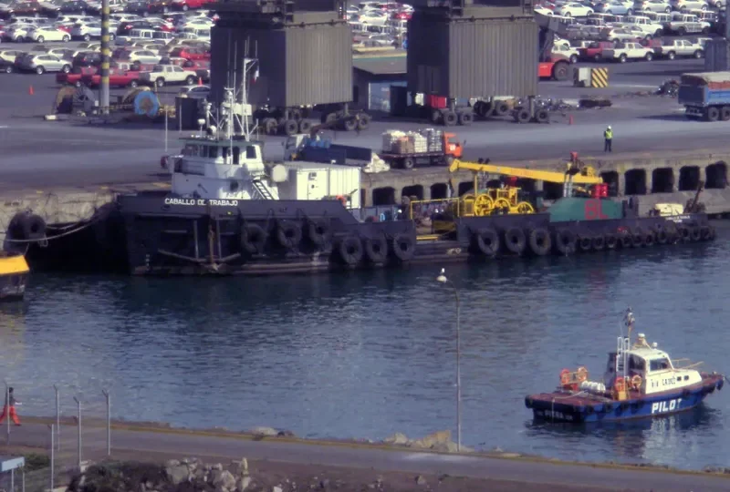 CABALLO DE TRABAJO General Cargo IMO 7216270