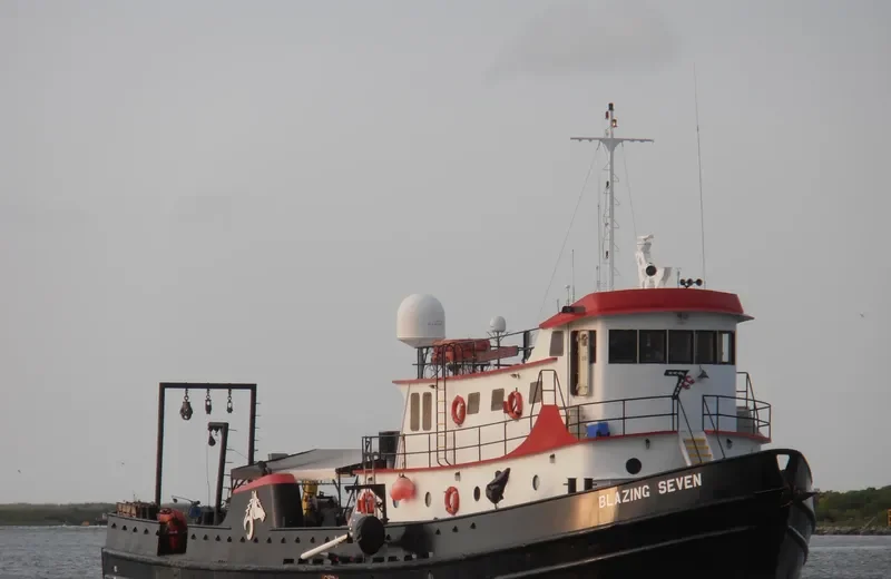 BLAZING SEVEN General Cargo IMO 7216684