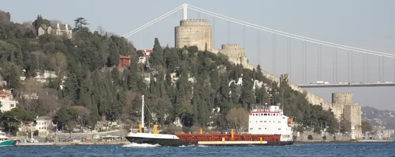 MARIA F General Cargo Vessel IMO 7217016 photo 8