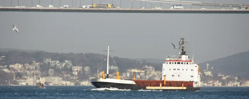 MARIA F General Cargo Vessel IMO 7217016 photo 9