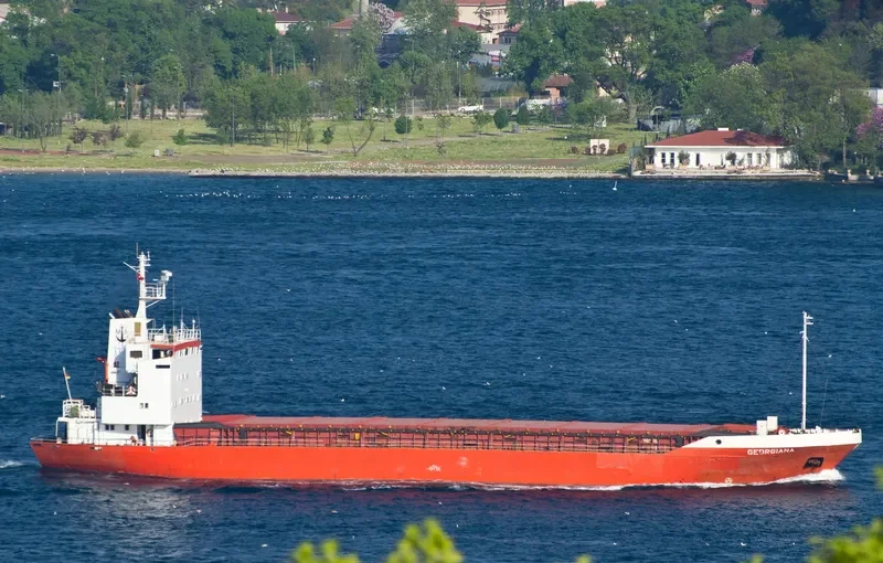GEORGIANA General Cargo IMO 7217561 photo 2