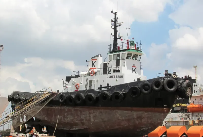 SUDESTADA Tug Boat IMO 7217858 photo 7