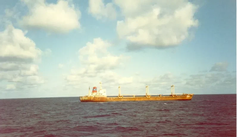 LEROS COURAGE Bulk Carrier IMO 7218424
