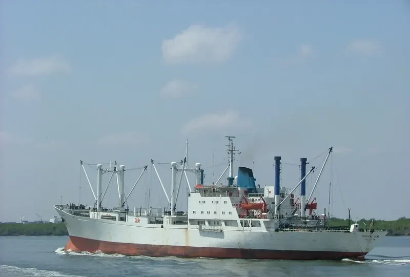 TROPICAL SAND Reefer IMO 7219090 photo 2