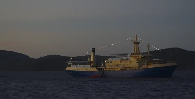 DISCOVERY PALAWAN General Cargo IMO 7219844 photo 2