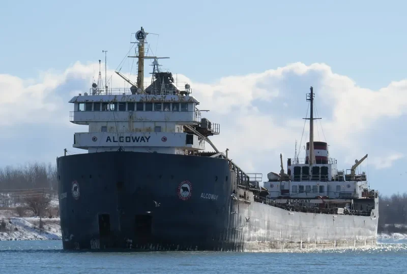 ALGOWAY Bulk Carrier IMO 7221251 photo 3