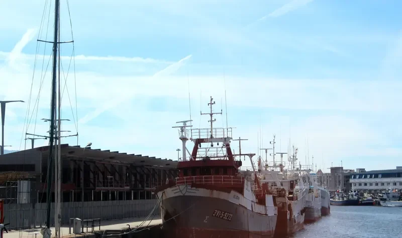 VILACHAN General Cargo IMO 7221990 photo 5