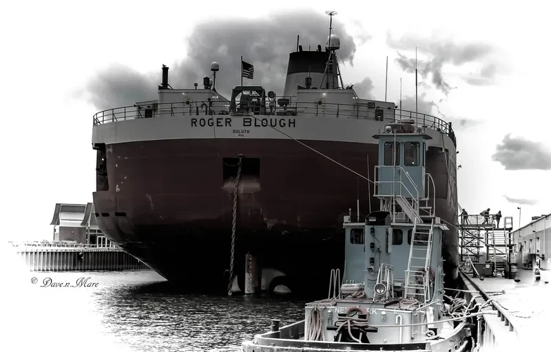 ROGER BLOUGH Bulk Carrier IMO 7222138 photo 3