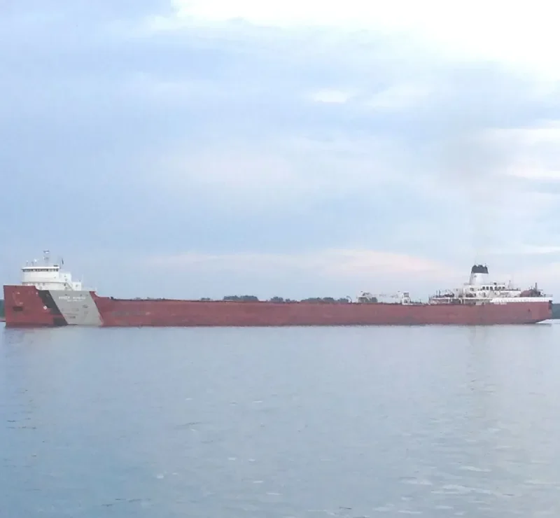 ROGER BLOUGH Bulk Carrier IMO 7222138 photo 7