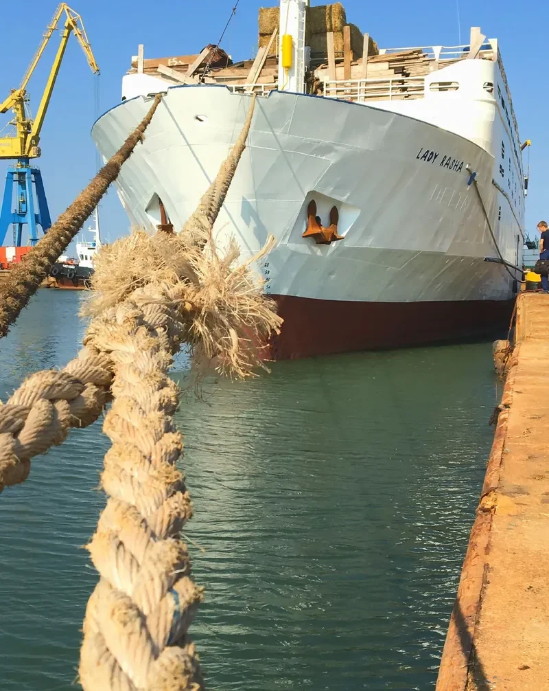 LADY RASHA General Cargo IMO 7223041 photo 3