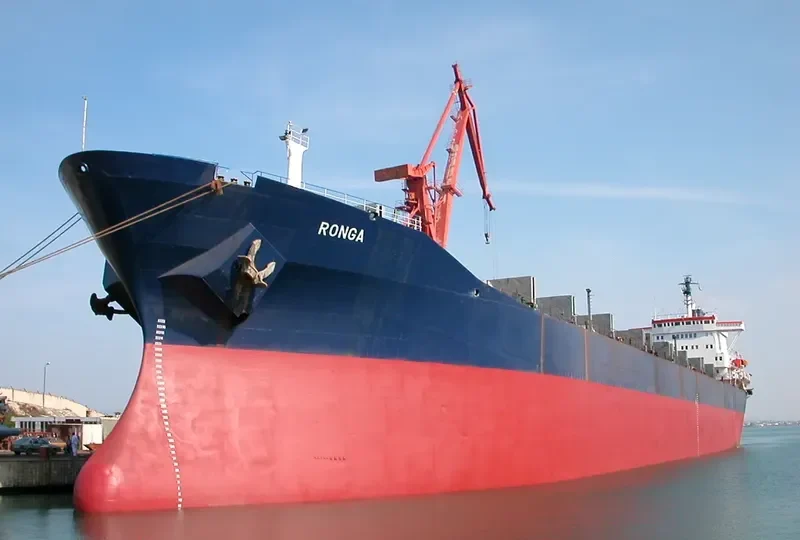 RONGA Bulk Carrier IMO 7223144 photo 8