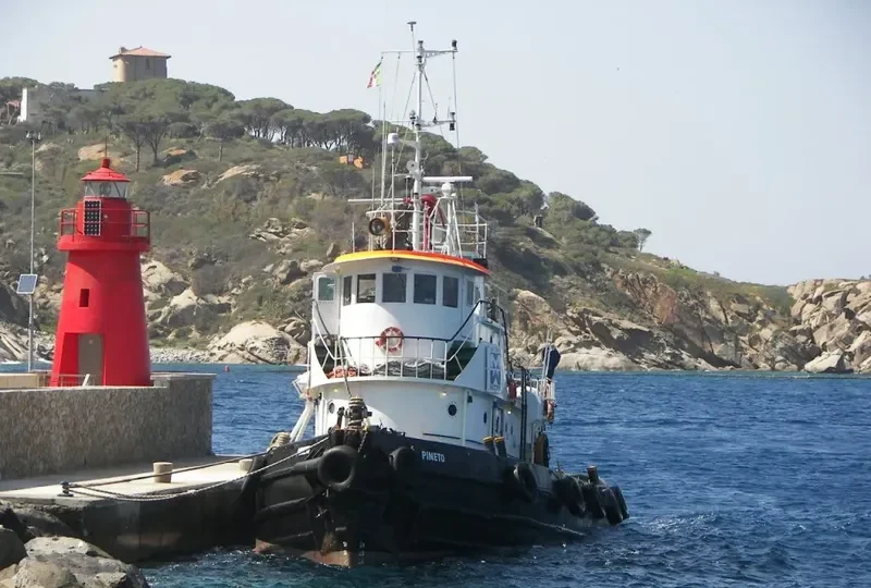 PINETO Tug Boat IMO 7224162