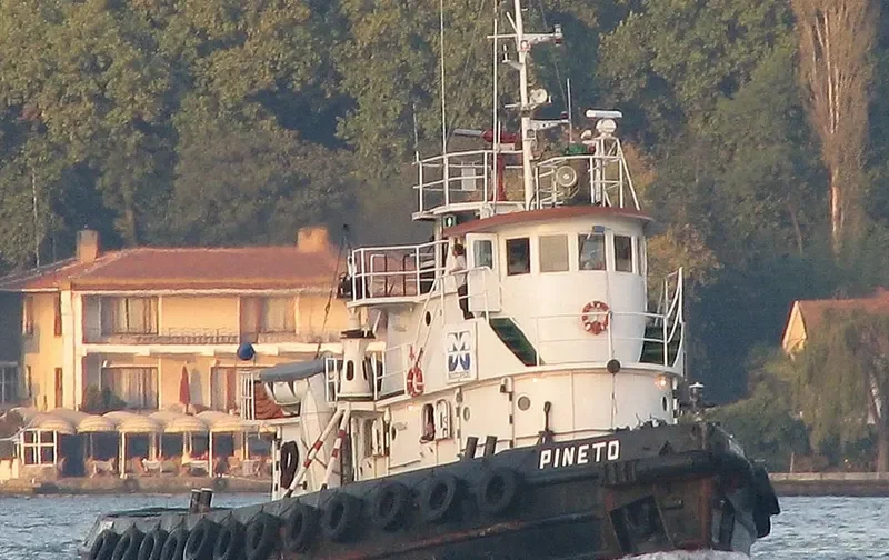 PINETO Tug Boat IMO 7224162 photo 2