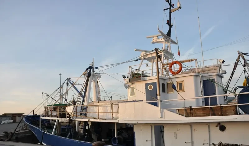 CITTA DI LIVORNO General Cargo IMO 7226378