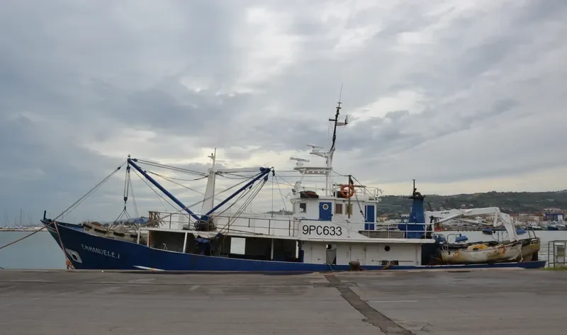 CITTA DI LIVORNO General Cargo IMO 7226378 photo 4