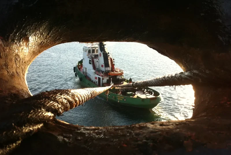DEMOCRITO Tug Boat IMO 7227669 photo 9