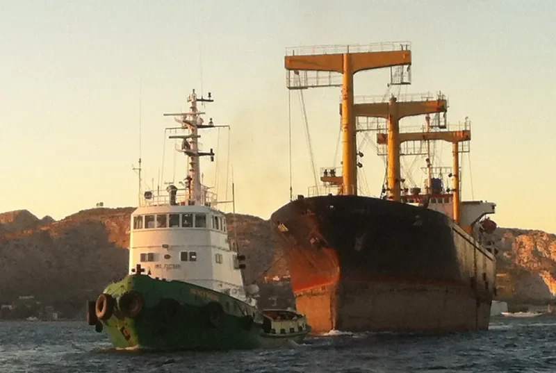 DEMOCRITO Tug Boat IMO 7227669 photo 10