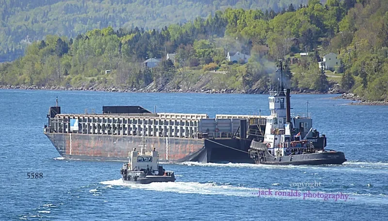 TONY MACKAY General Cargo IMO 7227786