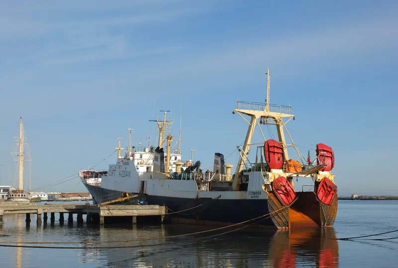 COIMBRA General Cargo IMO 7228091 photo 6