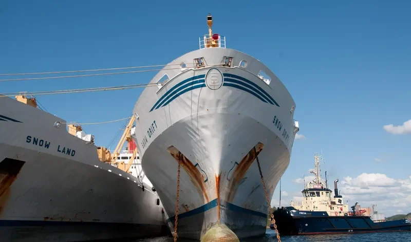 SNOW DRIFT General Cargo IMO 7228302 photo 4