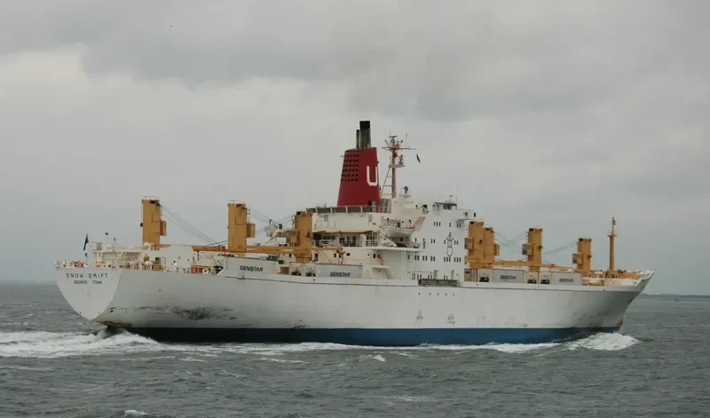 SNOW DRIFT General Cargo IMO 7228302 photo 8