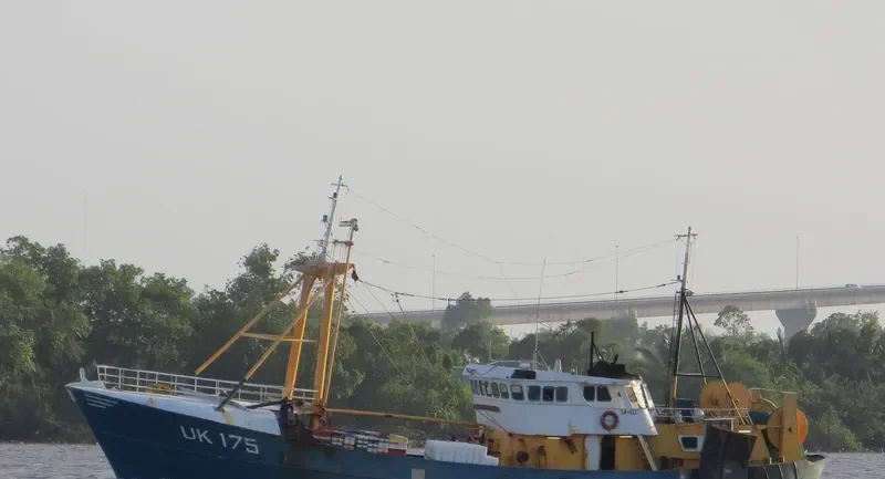 BERENDINA HERMINA Fishing Vessel IMO 7228651 photo 2