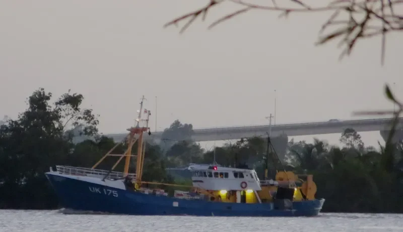 BERENDINA HERMINA Fishing Vessel IMO 7228651 photo 3