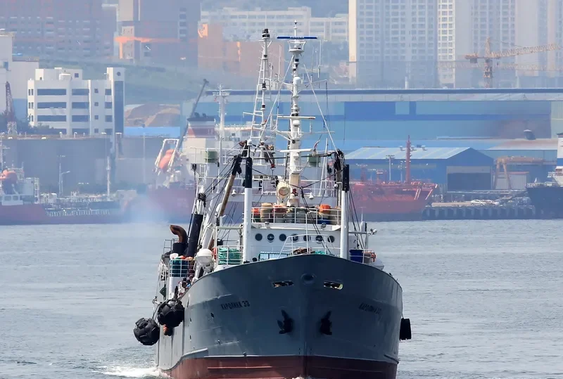 CAROLINA 33 General Cargo IMO 7229344 photo 4