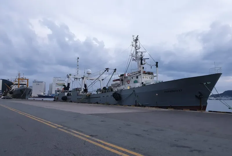 CAROLINA 33 General Cargo IMO 7229344 photo 8