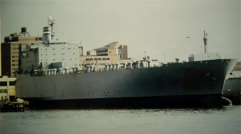 CAPE DOMINGO General Cargo IMO 7229423 photo 3