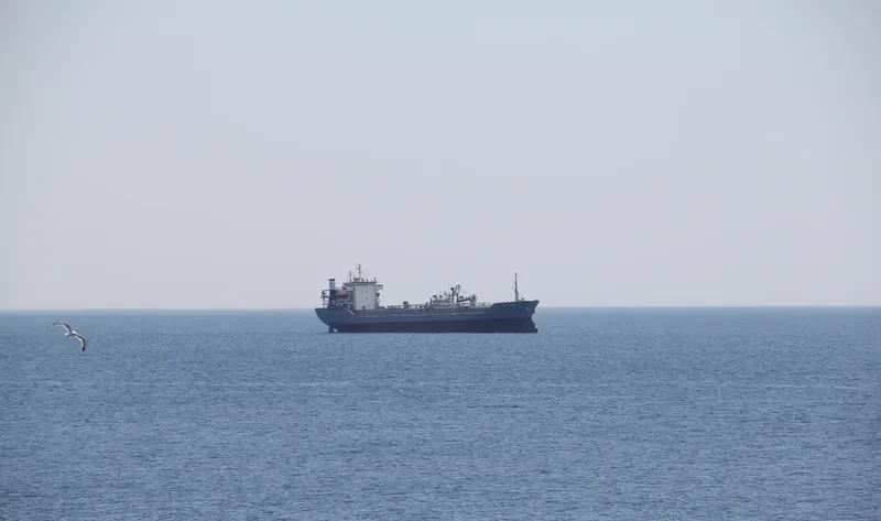 QUANT CEMENT II General Cargo IMO 7229760 photo 2