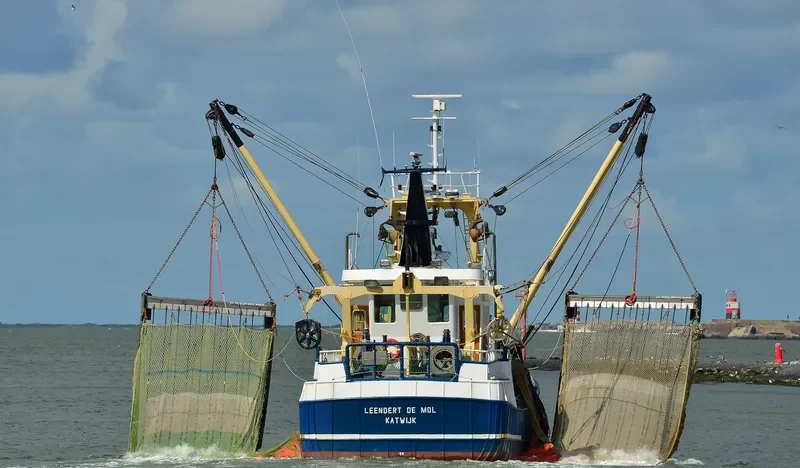 DSA 2 Fishing Vessel IMO 7230159