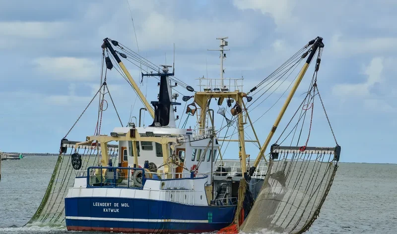DSA 2 Fishing Vessel IMO 7230159 photo 2