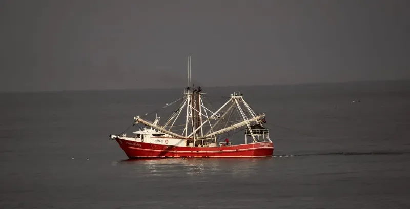 PERSEVERANCE Fishing Vessel IMO 7230800 photo 3