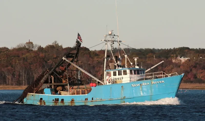NEW SEA ROVER Fishing Vessel IMO 7230965 photo 3