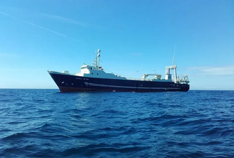 BLAENGUR General Cargo IMO 7233096