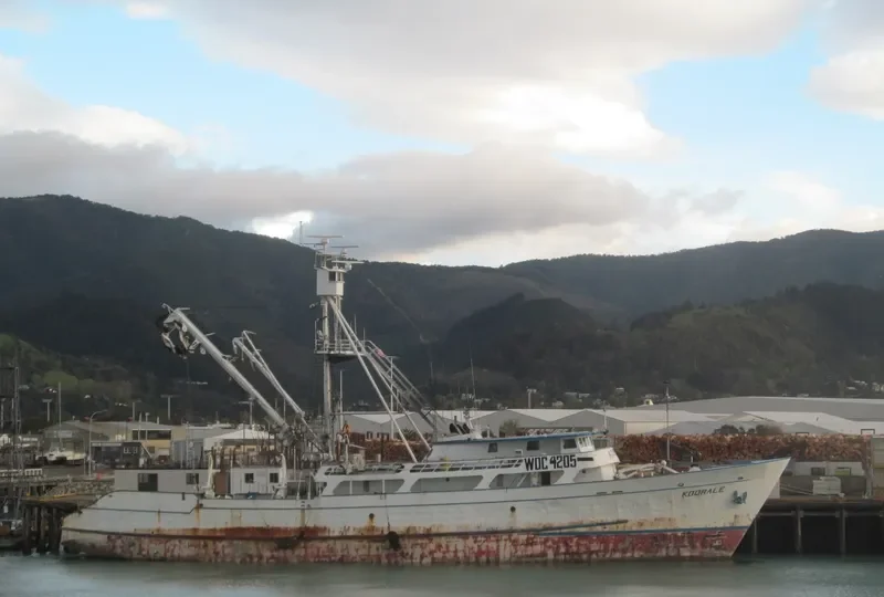KOORALE General Cargo IMO 7233280 photo 7